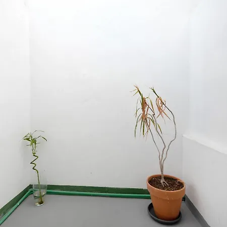 Appartamento Vista